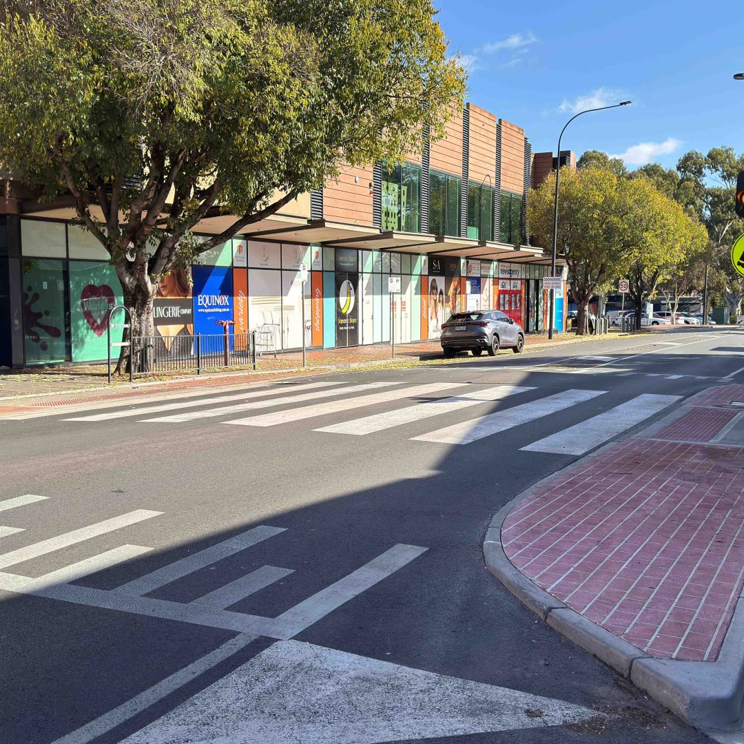 Princes Road Wombat Crossing - Mitcham City Council